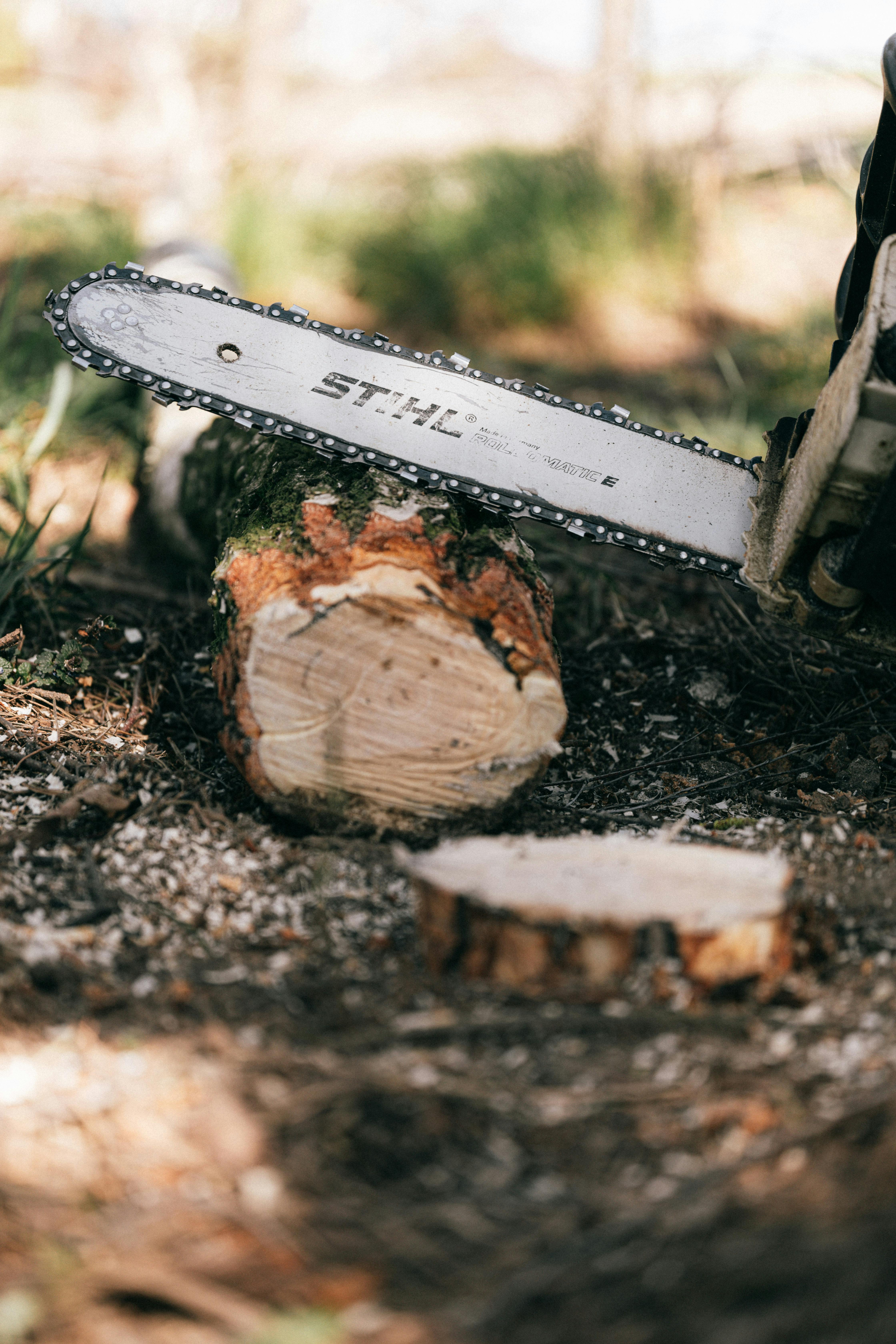 User preparing firewood with Stihl Akku Kettensäge