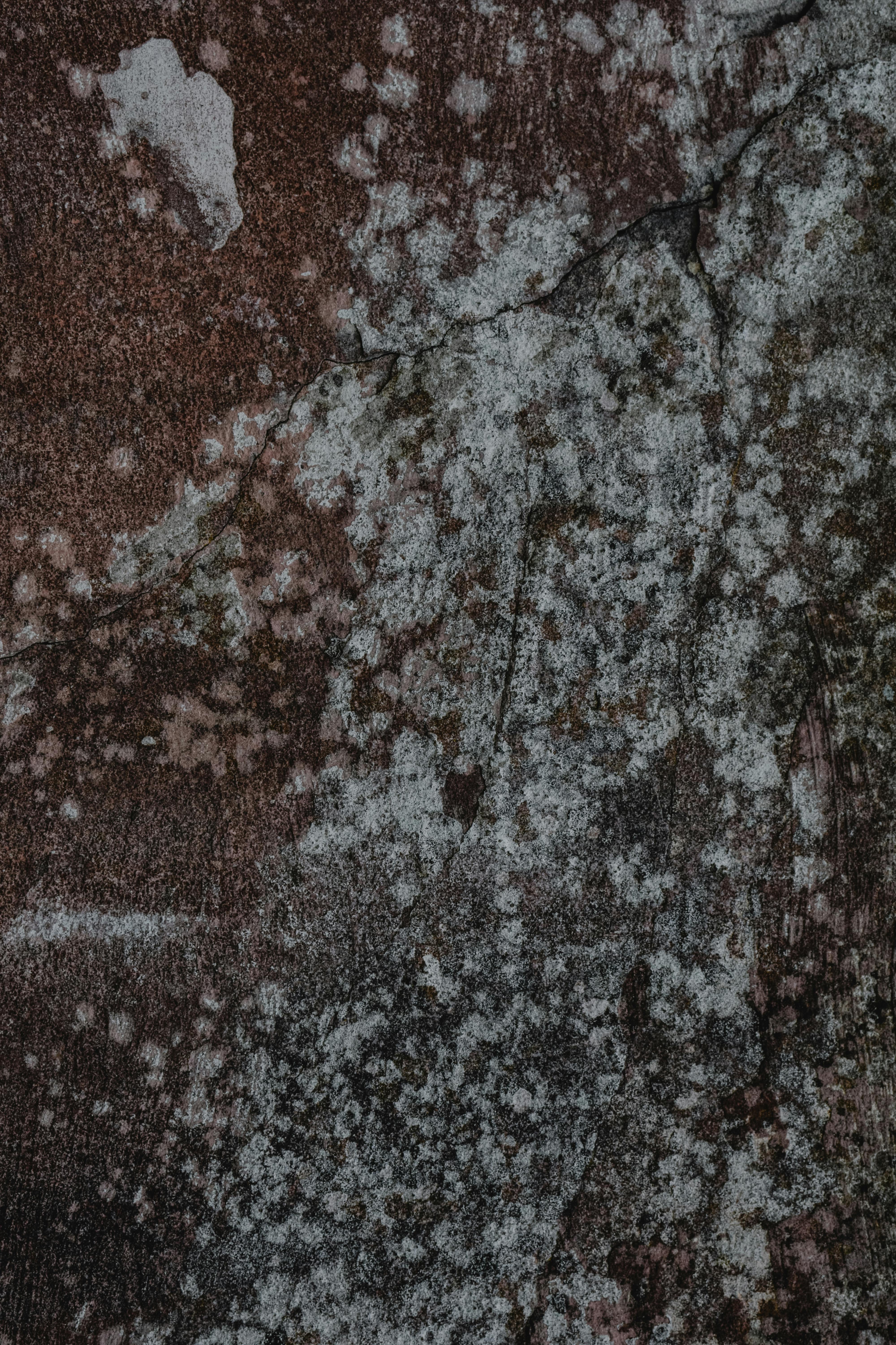 Cleaning mold off a wall