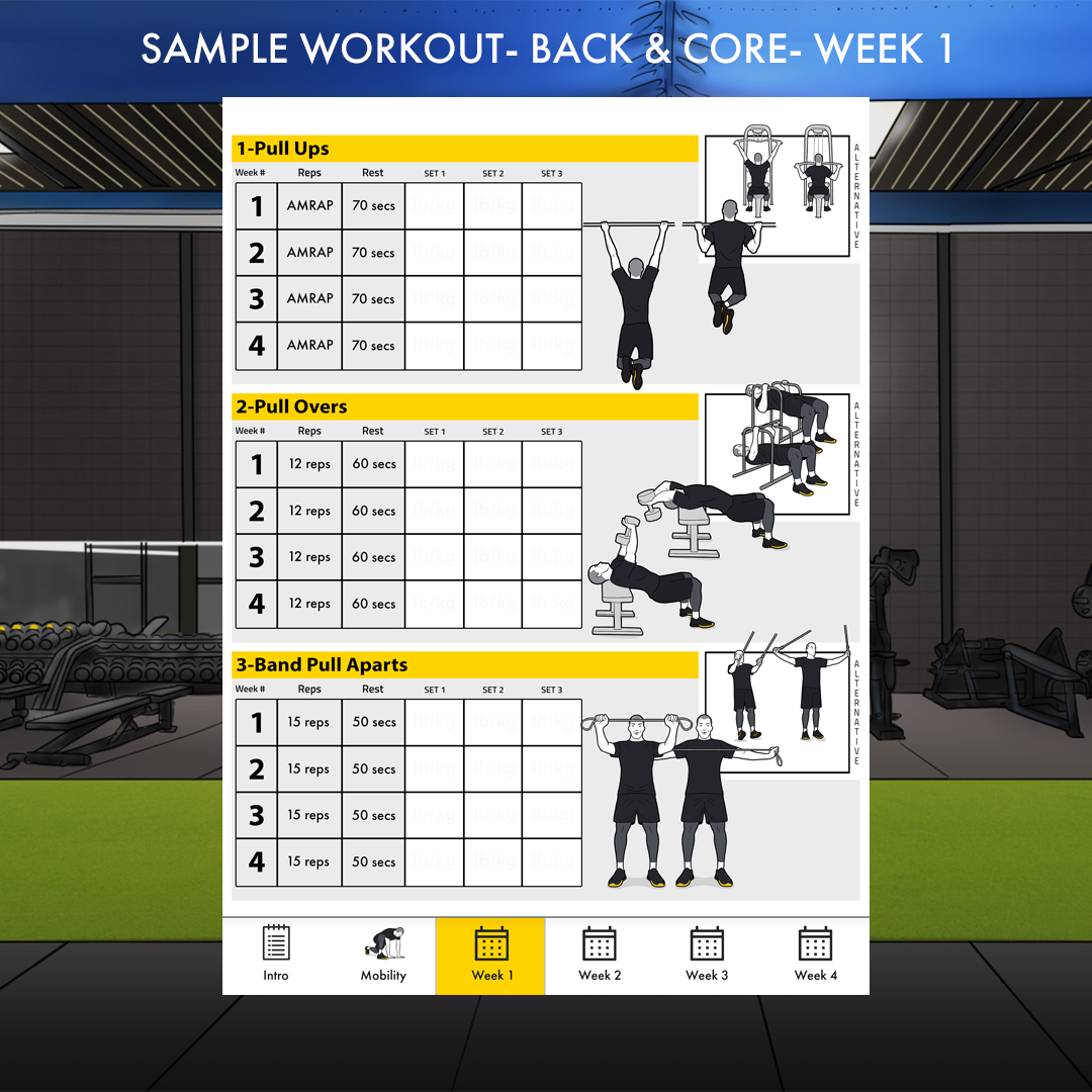 Trainingsplan Muskelaufbau PDF